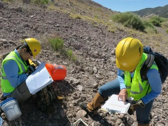 consulting books in the field