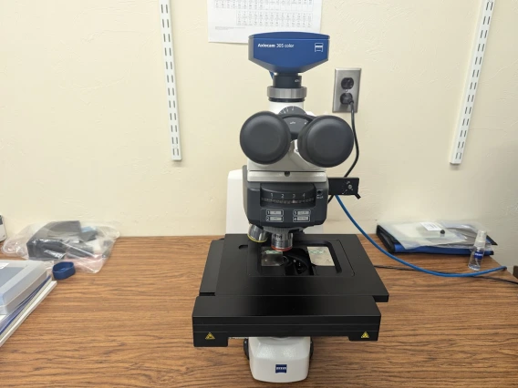 Nikon Microscope
