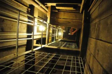 looking up a mine shaft