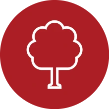 environment icon